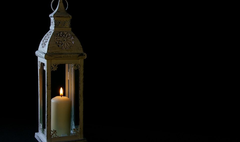 7 Best Meal Replacement Shakes for Busy Lifestyles