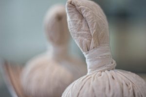 7 Bladder Balance Herbs You Need to Know About Today