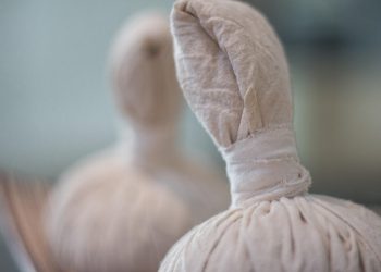 7 Bladder Balance Herbs You Need to Know About Today