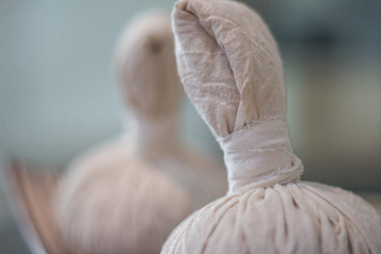 7 Bladder Balance Herbs You Need to Know About Today