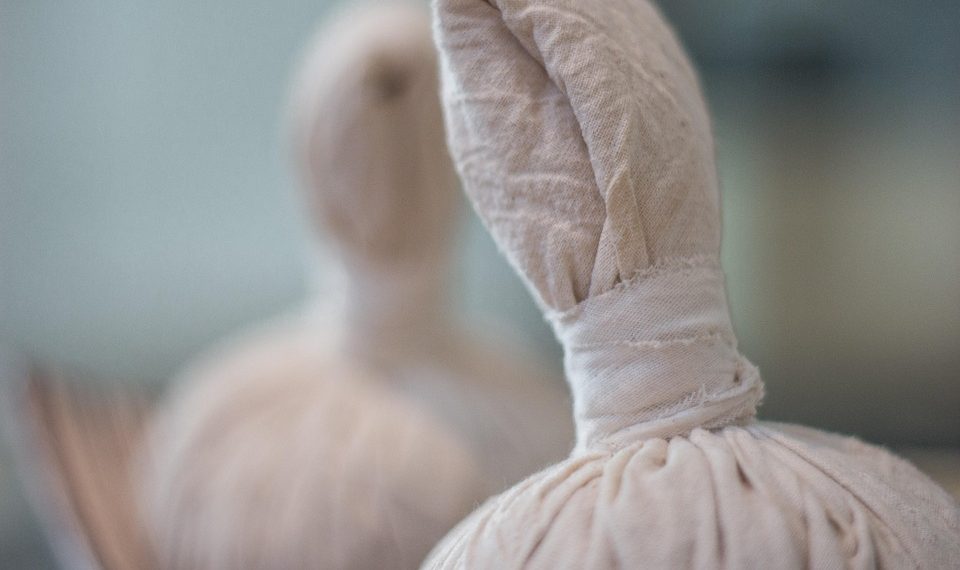 7 Bladder Balance Herbs You Need to Know About Today