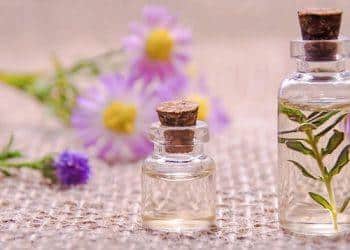 7 Essential Nutrients You Can't Afford to Ignore