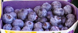 7 Essential Nutrients for an Energy Lift Today!