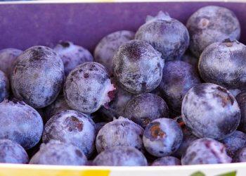 7 Essential Nutrients for an Energy Lift Today!