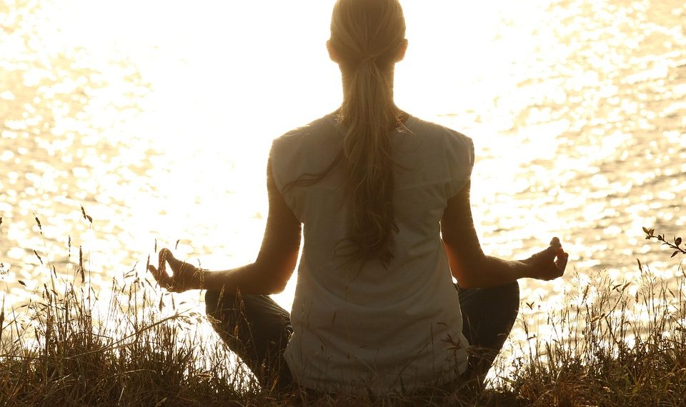 7 Essential Steps to Transform Your Wellness Journey