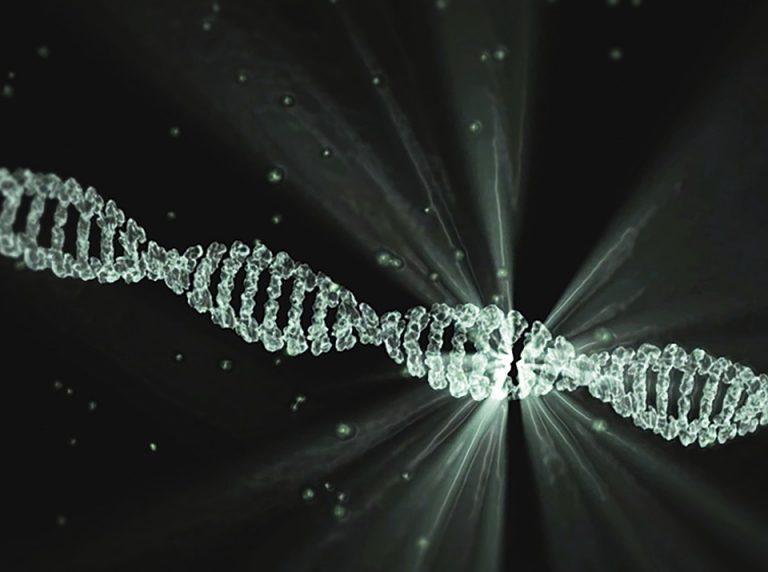 7 Fascinating Facts About DNA Repair You Didn't Know