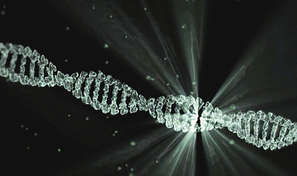 7 Fascinating Facts About DNA Repair You Didn't Know