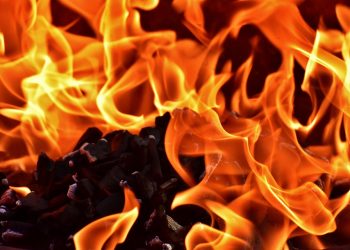 7 Fat-Burning Drinks You Need in Your Diet Today