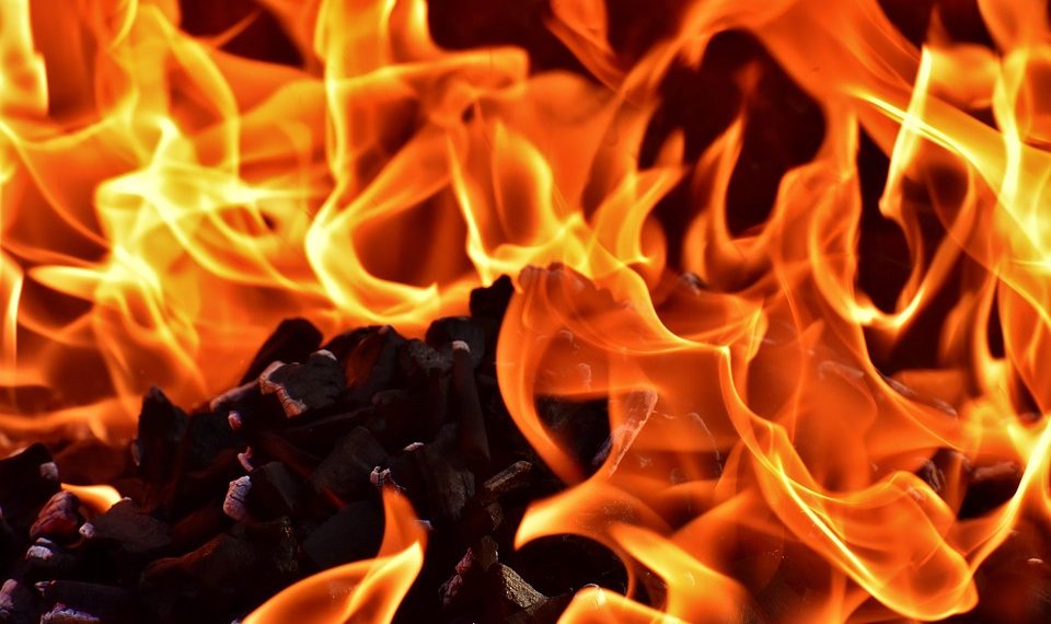 7 Fat-Burning Drinks You Need in Your Diet Today