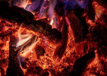 7 Fat-Burning Drinks You Need to Try Today