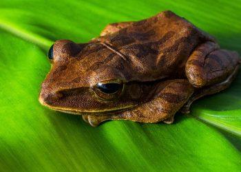 7 Foods That Boost Your Mood and Heal Emotionally