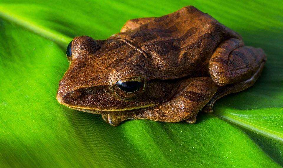 7 Foods That Boost Your Mood and Heal Emotionally