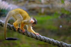 7 Foods That Naturally Balance Your Hormones Today