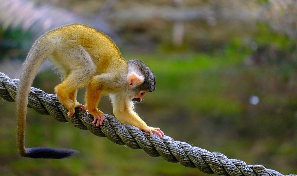 7 Foods That Naturally Balance Your Hormones Today