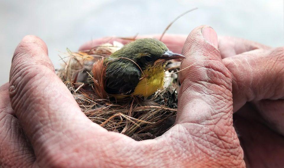 7 Gentle Sleep Tips for a Restful Night's Sleep