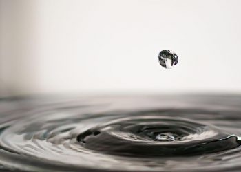 7 Herbal Drops That Transform Bladder Health Fast!