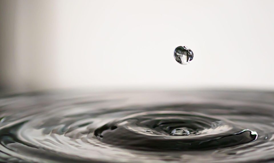 7 Herbal Drops That Transform Bladder Health Fast!