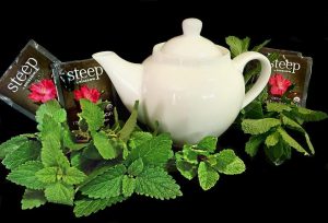 7 Herbal Remedies for Everyday Ailments You Need