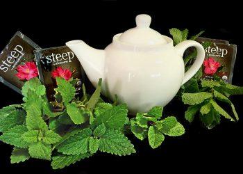 7 Herbal Remedies for Everyday Ailments You Need