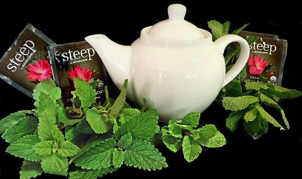 7 Herbal Remedies for Everyday Ailments You Need