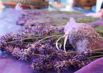 7 Herbal Remedies to Tame Your Anxiety Naturally