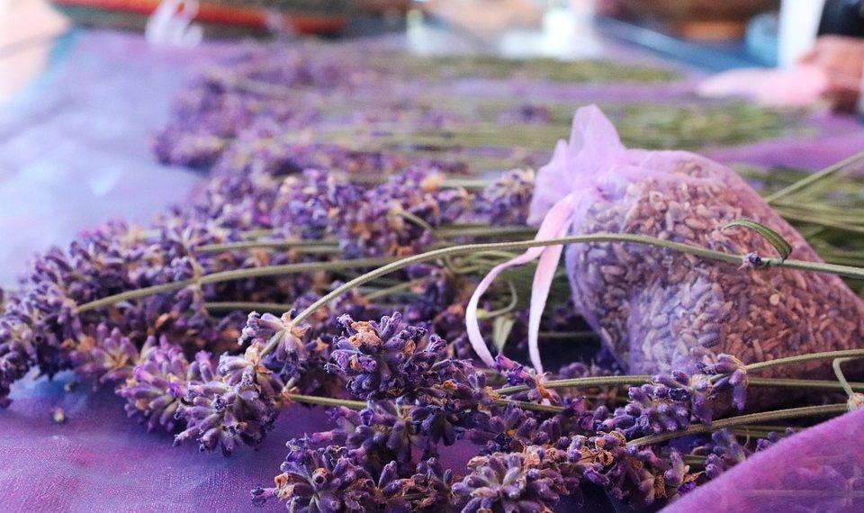 7 Herbal Remedies to Tame Your Anxiety Naturally