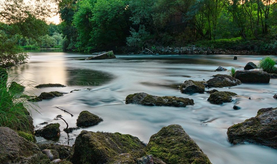 7 Herbal Teas for Water Retention Relief Today!