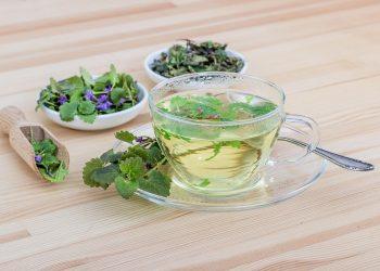 7 Herbal Teas to Boost Your Immune System Today