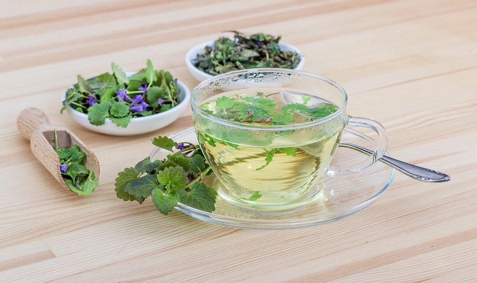 7 Herbal Teas to Boost Your Immune System Today