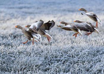 7 Holistic Health Hacks for a Better You