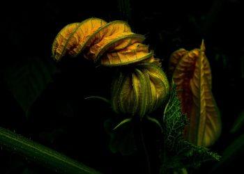 7 Holistic Tips for a Balanced Mind and Body