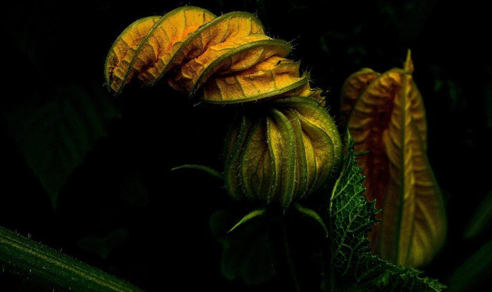 7 Holistic Tips for a Balanced Mind and Body