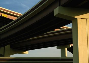 7 Incredible Benefits of Moringa You Can't Ignore