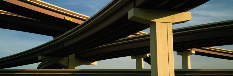 7 Incredible Benefits of Moringa You Can't Ignore