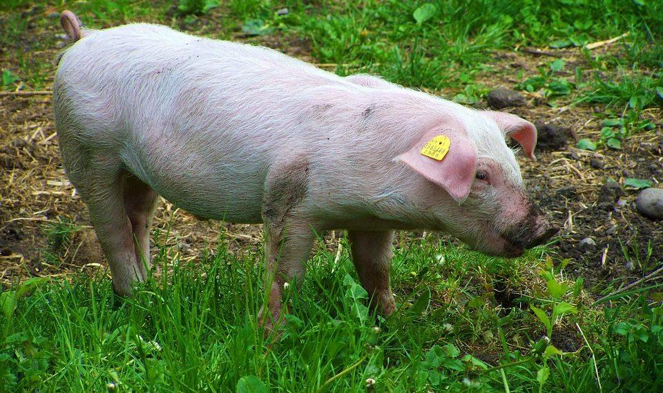 7 Life-Changing Benefits of Daily Meditation