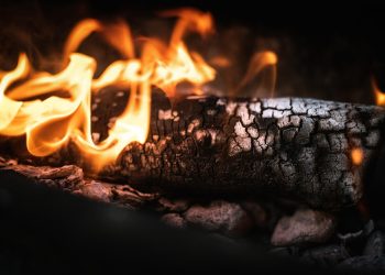 7 Magical Teas to Burn Fat Fast and Naturally!