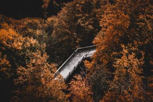 7 Mindful Eating Habits for a Healthier You