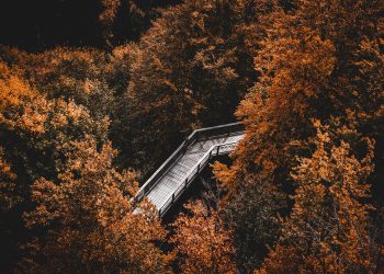 7 Mindful Eating Habits for a Healthier You