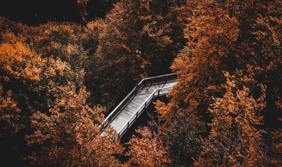 7 Mindful Eating Habits for a Healthier You