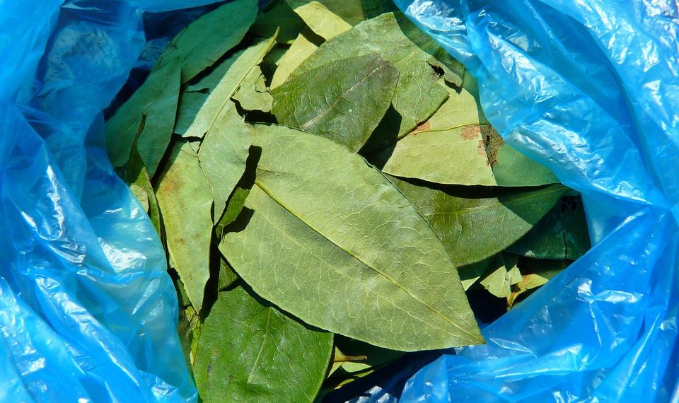 7 Must-Try Anti-Aging Supplements for Youthful Skin