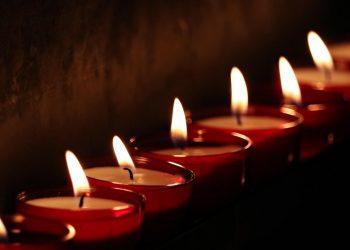 7 Must-Try Teas That Torch Calories Fast!