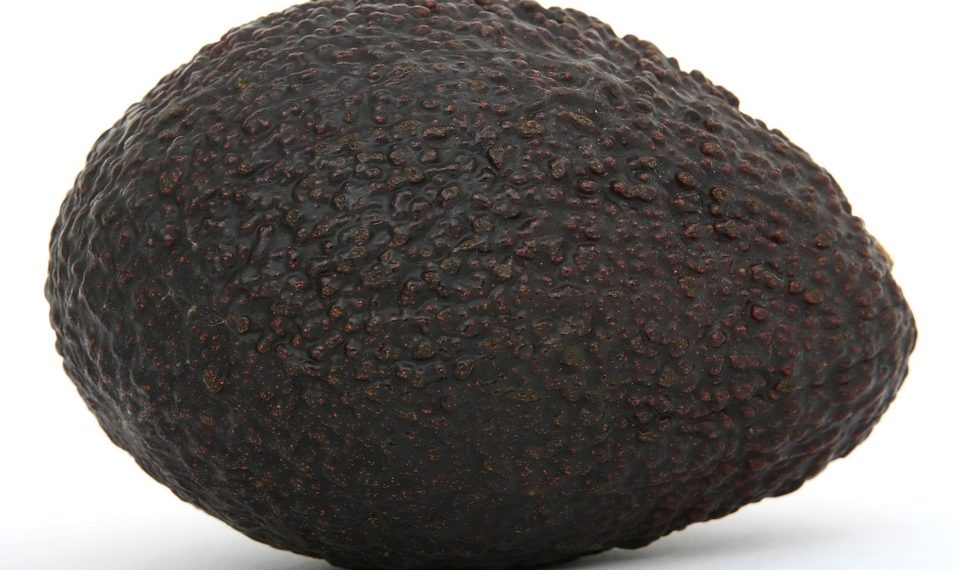 7 Natural Appetite Suppressants You Must Try Today