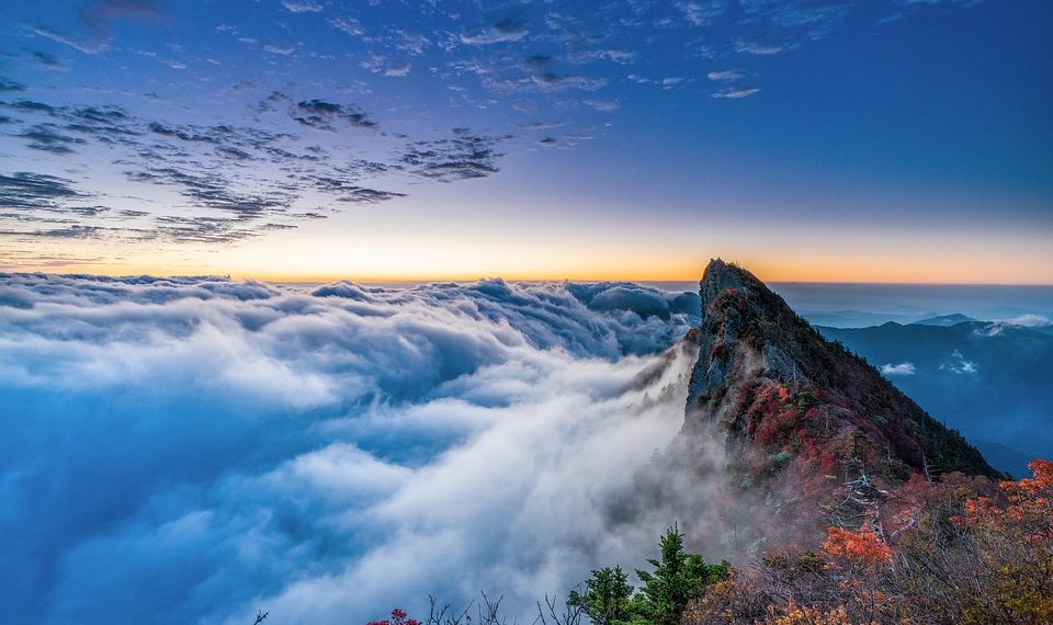 7 Natural Diets to Supercharge Your Performance Today