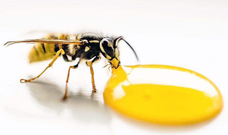 7 Natural Drinks to Boost Your Fat-Burning Power