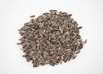 7 Natural Foods Every Vegan Athlete Should Try Now