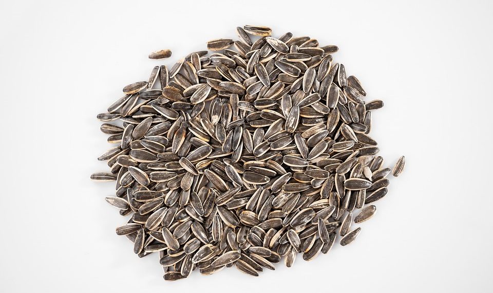 7 Natural Foods Every Vegan Athlete Should Try Now