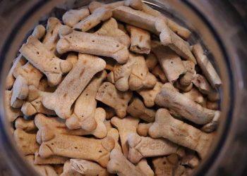 7 Natural Foods That Boost Bone Health Fast