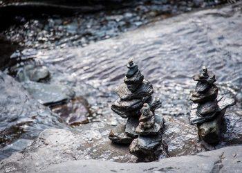 7 Natural Foods for Hormonal Harmony You Must Try