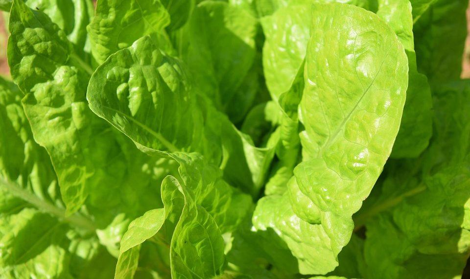 7 Natural Foods to Beat Stress and Boost Your Mood