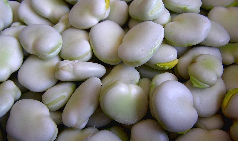 7 Natural Foods to Supercharge Your Gut Health Today